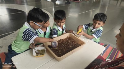 FY3 - SSC VP - Germination activity