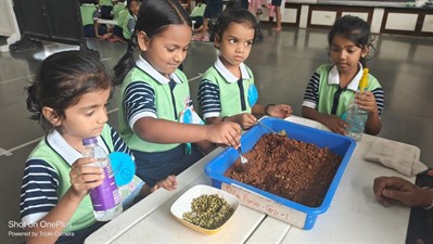 FY3 - SSC VP - Germination activity