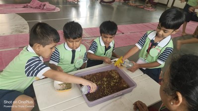 FY3 - SSC VP - Germination activity