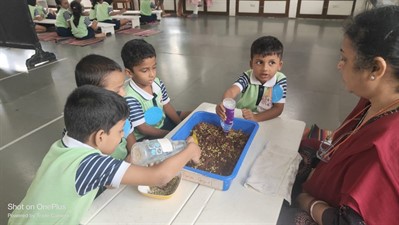 FY3 - SSC VP - Germination activity