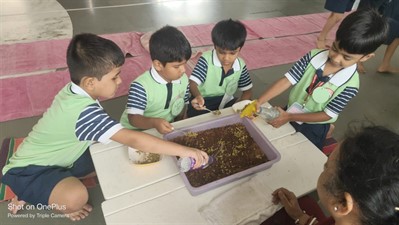 FY3 - SSC VP - Germination activity