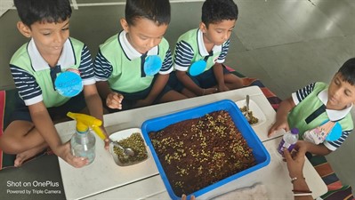 FY3 - SSC VP - Germination activity