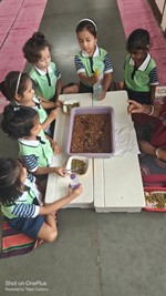 FY3 - SSC VP - Germination activity