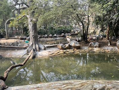 School picnic – Jijamata Udyan